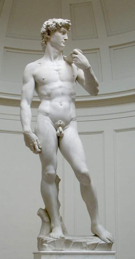 Michelangelo, David, 1501-1504, mramor. Autor: Rico Heil (Uživatel:Silmaril) (soukromá fotografie) , přes Wikimedia Commons